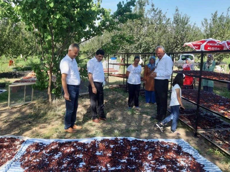 Rektör Alma, Iğdırlı kadın üreticileri ziyaret etti
