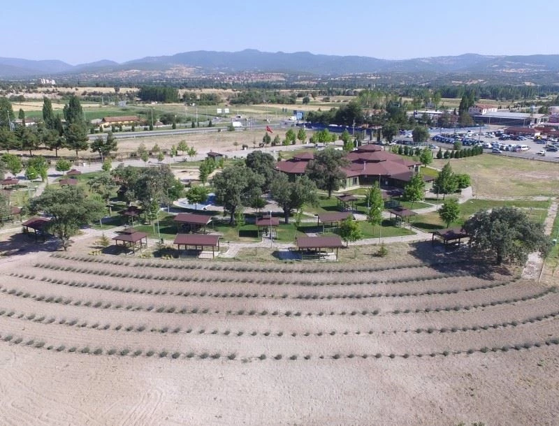 Gediz’de lavantalar yaşam parka ayrı güzellik kattı
