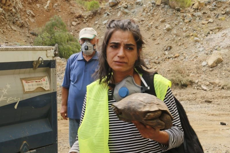 Muğla’da dumanlar içerisinde kalan kaplumbağaya ekiplerden can suyu
