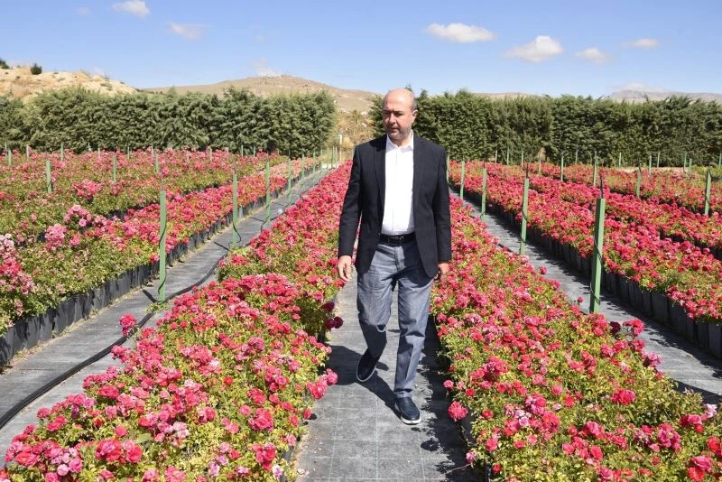 Selçuklu yeşil dokuya fidanlığıyla katkı sağlıyor
