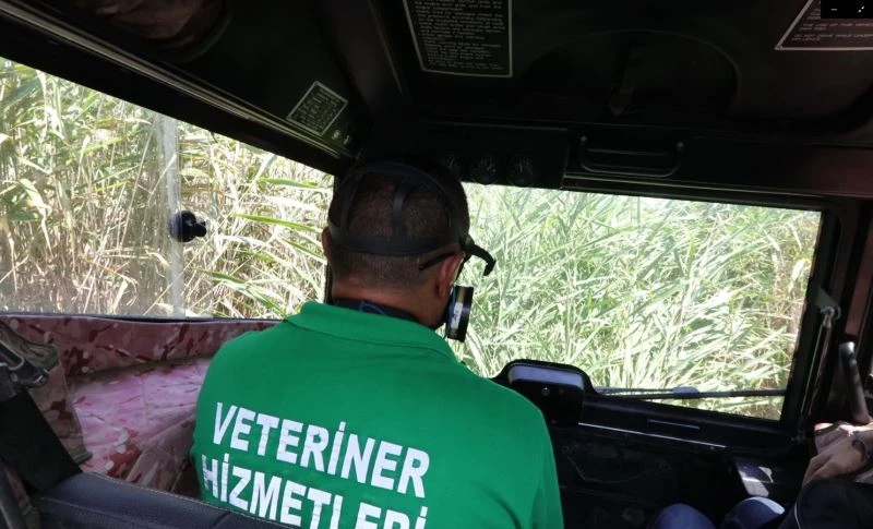 Amfibi araç ile 3 günlük ilaçlama yarım günde yapılıyor
