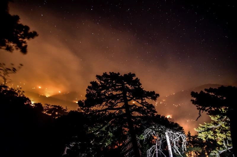 Muğla’da alevlerle mücadele gece boyu sürdü
