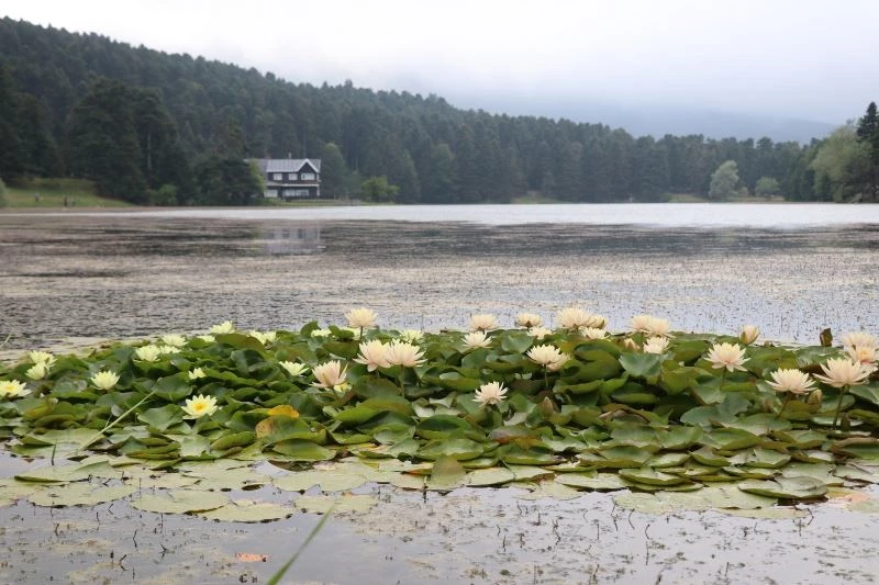 Tatilciler serinleyen havanın tadını Gölcük’te çıkardı
