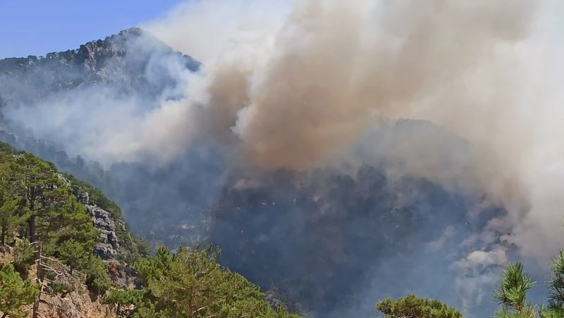 Akseki’deki orman yangınıyla ilgili bir şüpheli tutuklandı
