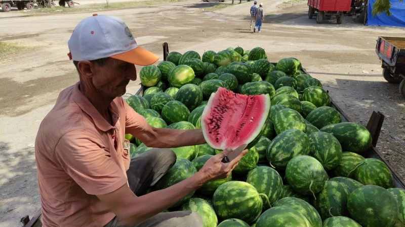 Karpuz ve kavun ekenin bu yıl yüzü güldü
