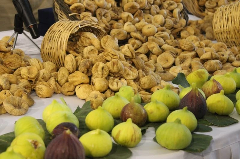 Başkan Kendirlioğlu, Aydın incirinin önemine dikkat çekti
