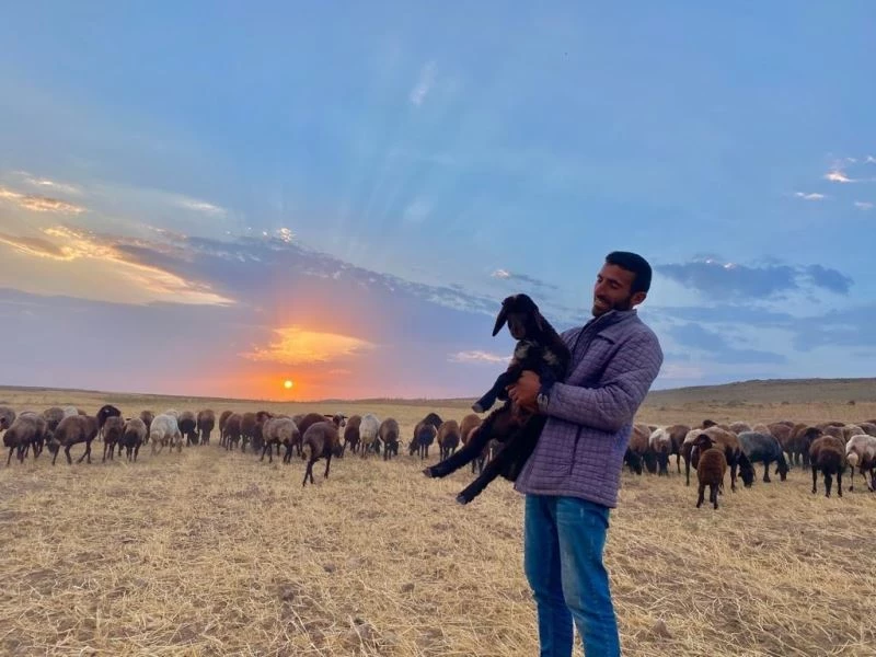 Annesiz kalan kuzunun annesi sandığı sahibiyle bağı duygulandırıyor
