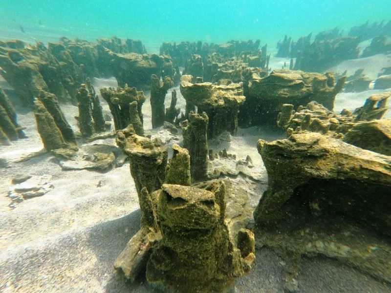 Van Gölü’nde yeni mikrobiyalitler keşfedildi
