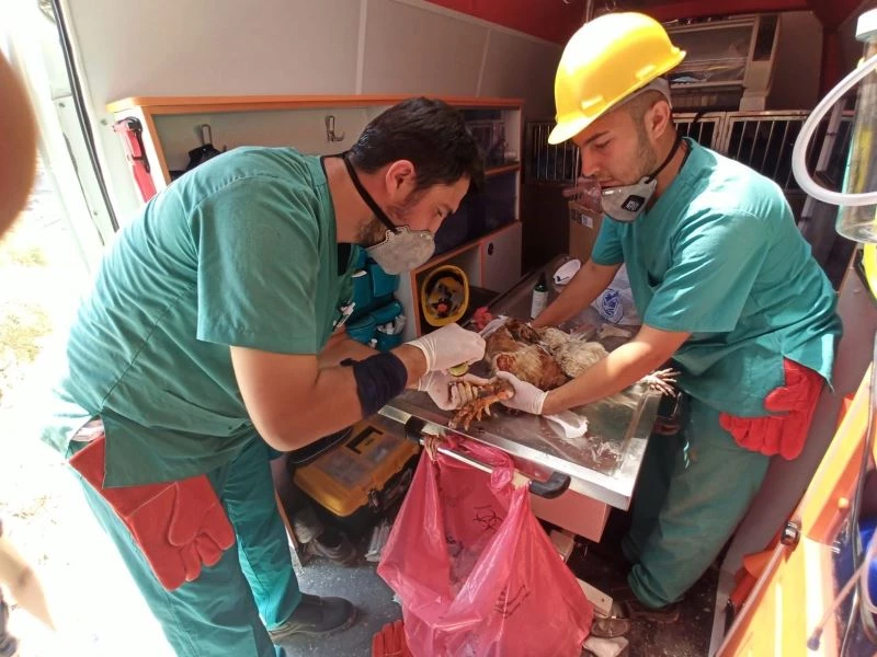 “Canbulan” Manavgat’tan sonra şimdi Muğla’da
