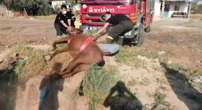 Fosseptik çukuruna düşen at itfaiye ekiplerince kurtarıldı
