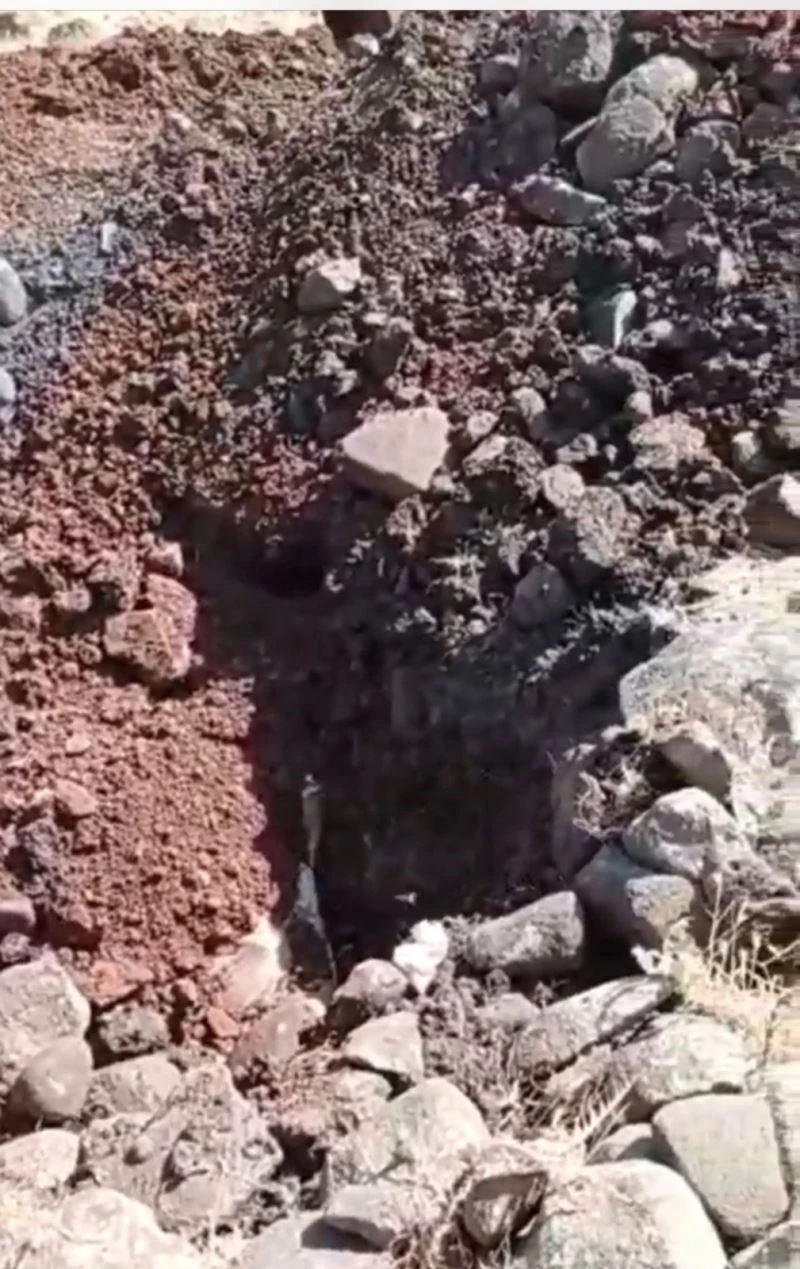 Siverek’te kuduz karantinası
