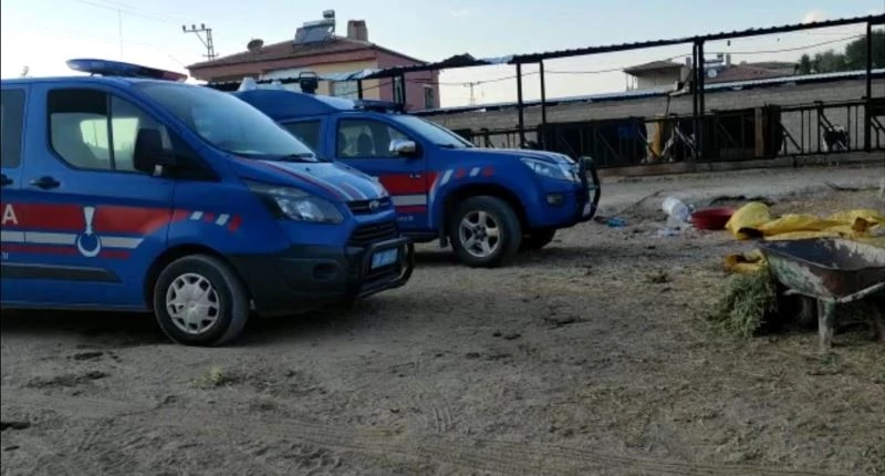 Sallanmak için astığı ip sonu oldu
