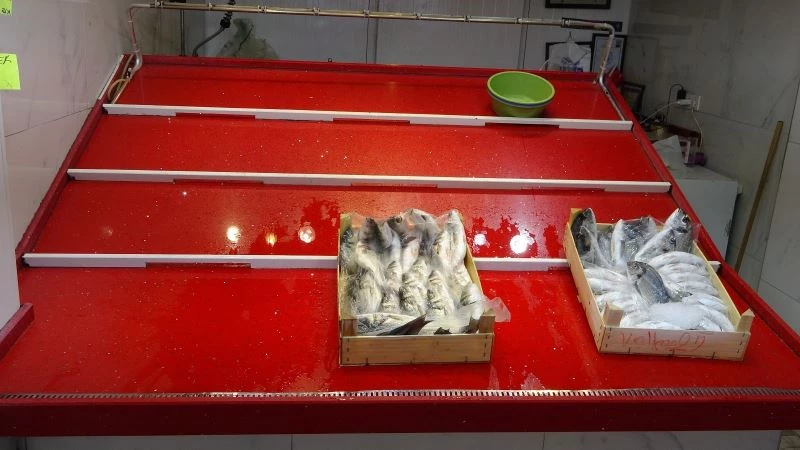 Çanakkale’de av yasağı kalkmasına rağmen tezgahlar boş kaldı
