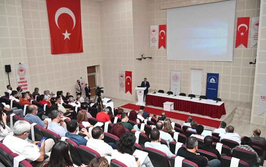 Tarladan Sofraya, Osmaniye Yer Fıstığı Çalıştayı Düzenlendi