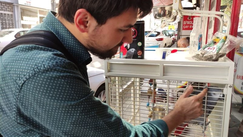 Şakacı papağan sokaktan geçeni kandırıyor
