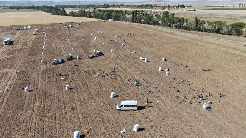 İşçilerin karınca gibi çalışması havadan görüntülendi
