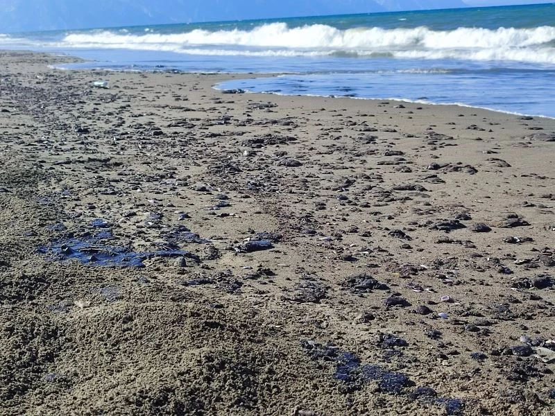 Hatay Samandağ sahilinde petrol sızıntısı temizliği 9. gün de devam ediyor
