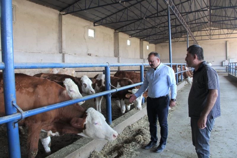 Hayvancılık işletmesi ziyaret edilerek incelendi
