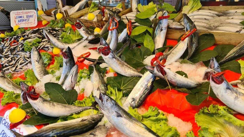 Tezgahta palamut bollaştı, fiyatlar düşüyor
