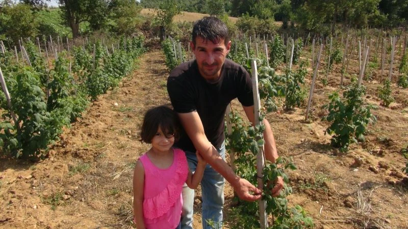  Merakla başladığı ahududu ve böğürtlen verimi yüz güldürdü
