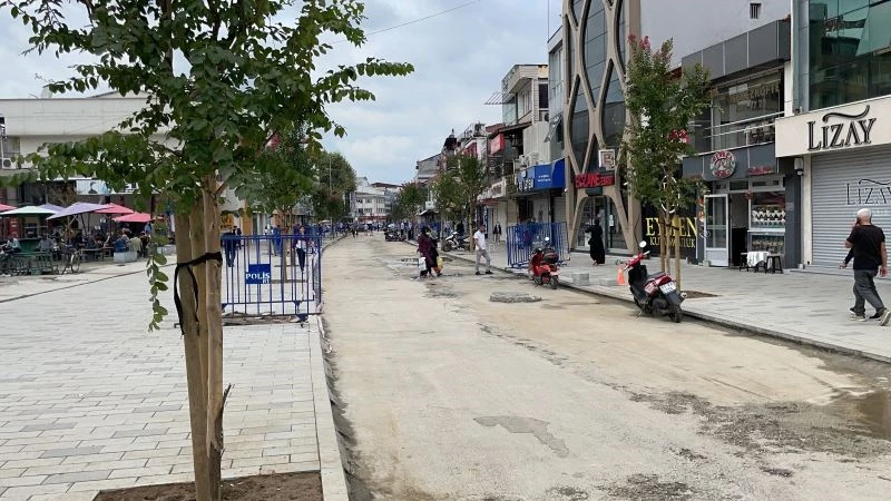 İstanbul Caddesi ağaçlandırıldı
