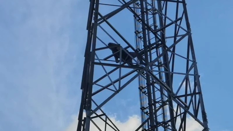 Alkolün etkisiyle çıktığı direkte sızdı
