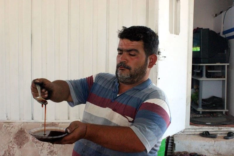 Kilis’te gün pekmezi üretimi başladı
