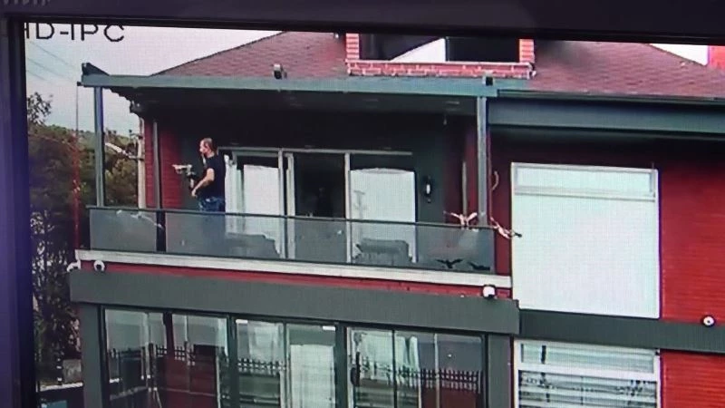 Nesli tükenmekte olan kuş sürüsü villaya daldı
