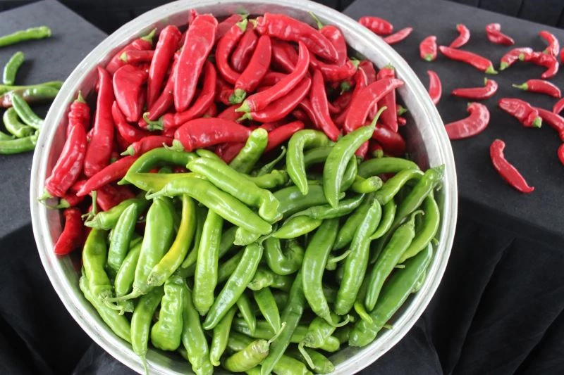 Samandağ biberine coğrafi işaret belgesi
