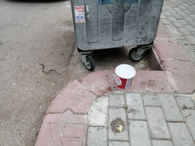 (Özel) Sokak hayvanları için konulan su ve mamaları döken komşusu çıktı
