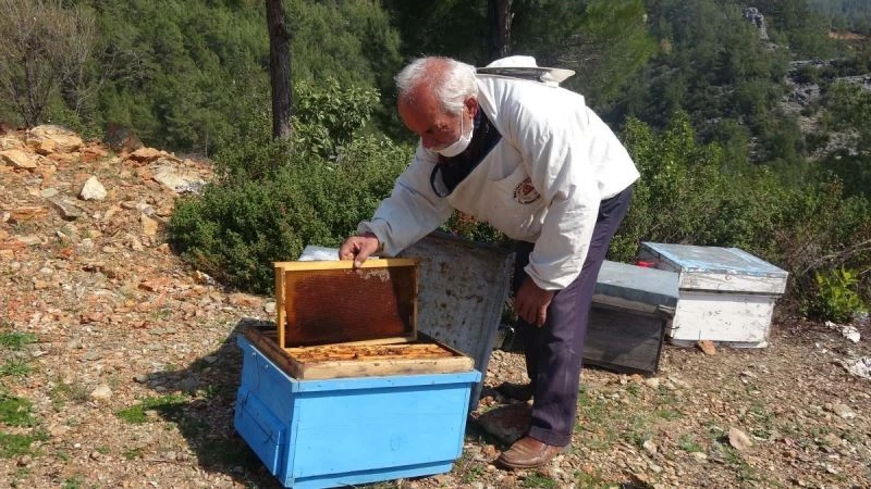 Arı kovanlarına ilaç sıkarken zehirlenip öldü
