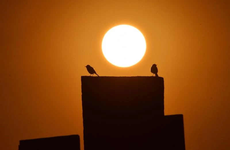 (Özel Haber) Tarihi Selçuklu Meydan Mezarlığı’nda seyrine doyumsuz gün batımı
