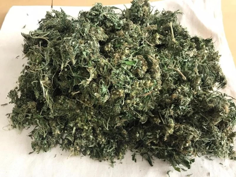 Uyuşturucuyu hayvan gübresinin içerisine saklamışlar
