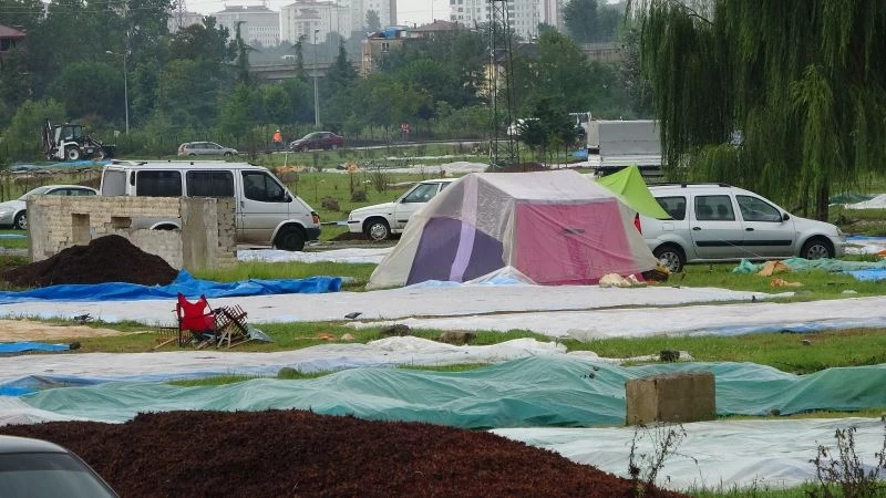 Soydan: “Islanan fındıkta çürüme riski çok artıyor”
