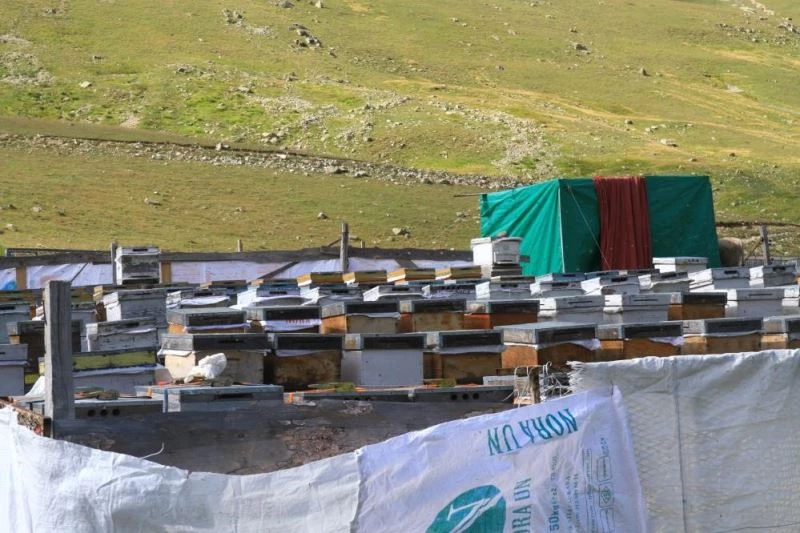 Sahte Anzer Balı’na dikkat
