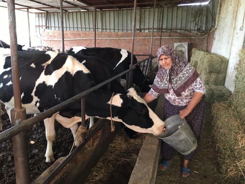 “Gençler hayvan bakmak istemeyince sektörde tehlike çanları çalmaya başladı”
