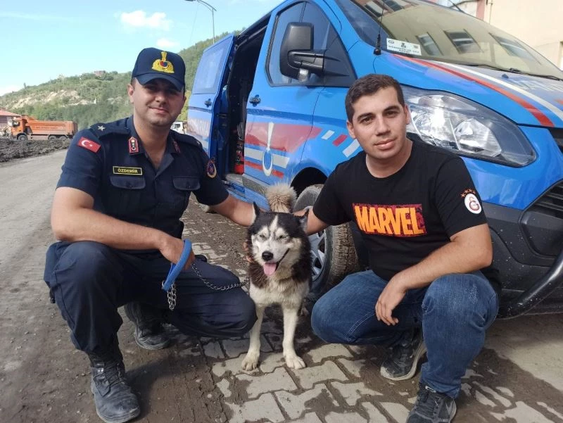 Selde hayatını kaybeden sahibine vefasını her gün evinin önüne gelerek gösteriyor
