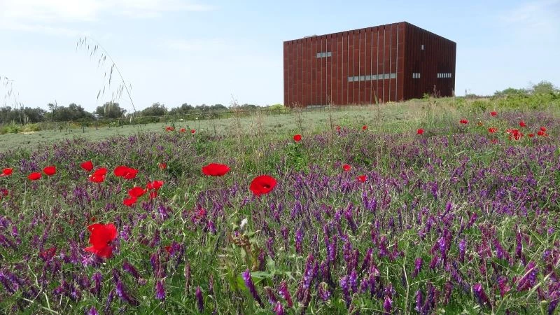 Troya Müzesi’ne Avrupa Müze Akademisi Özel Ödülü
