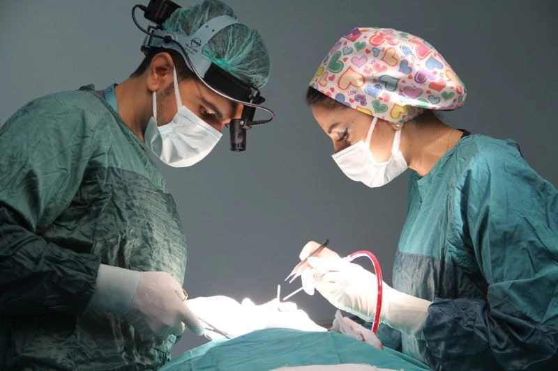 Pandemi estetik operasyonlara ilgiyi artırdı

