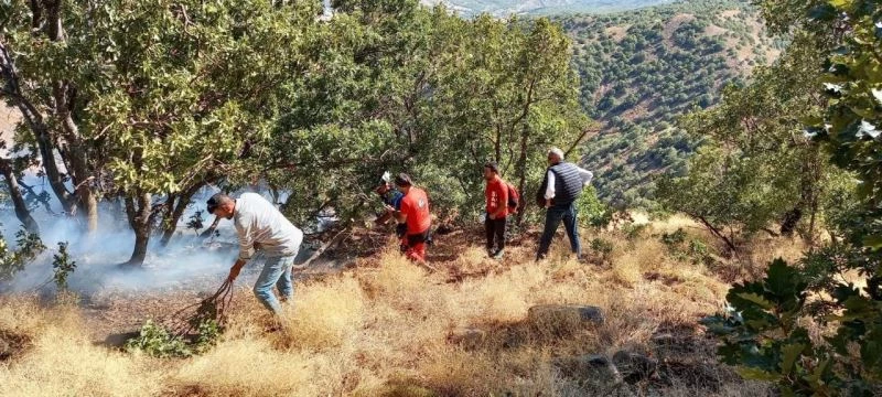 SAR, Bingöl’deki yangınlarda ekiplere destek verdi
