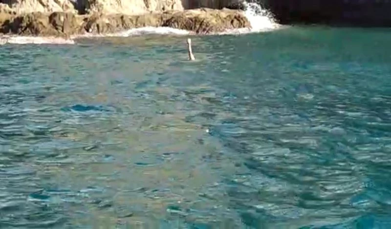 Patlayıcıyla balık avlarken yakalandı, 10 bin 911 lira ceza yedi
