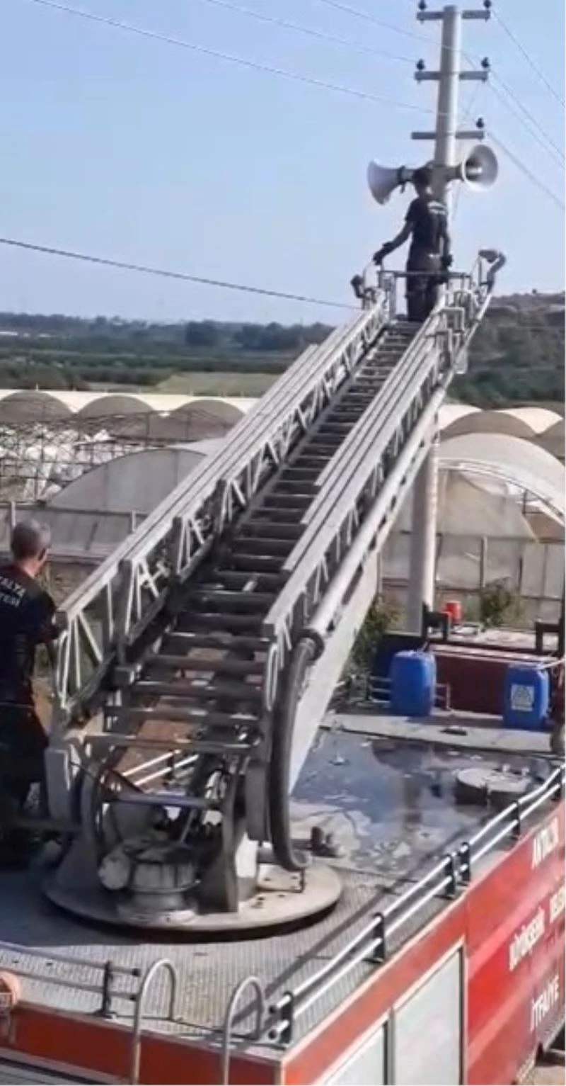 Elektrik teline takılan serçeyi itfaiye ekipleri kurtardı
