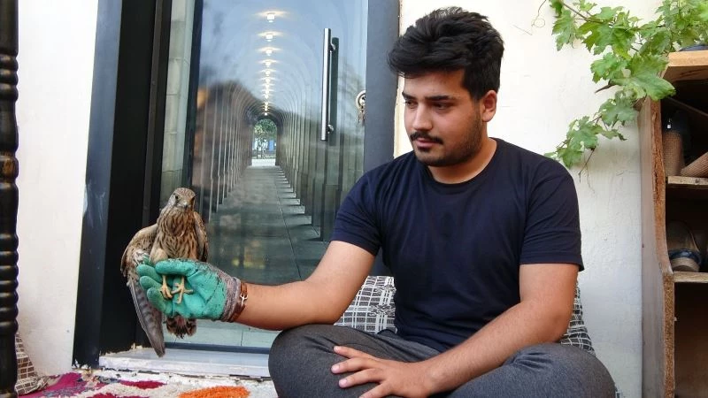 Yaralı bulunan kerkeneze şefkat eli
