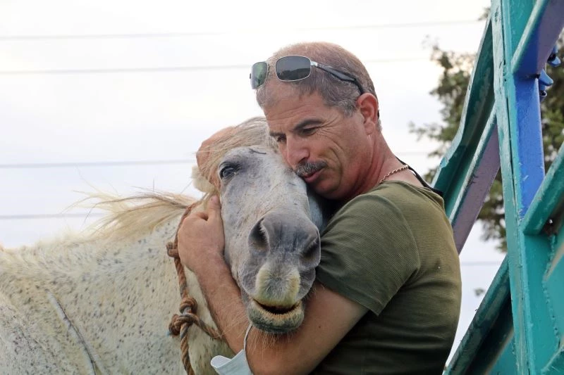  Atı çalınan eşinin üzüntüsüne dayanamayan emekli polis, muhbirle atı buldu

