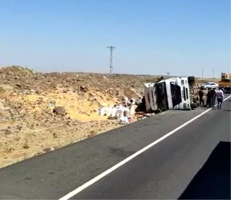 Devrilen tırdaki mısırlar ortalığa saçıldı
