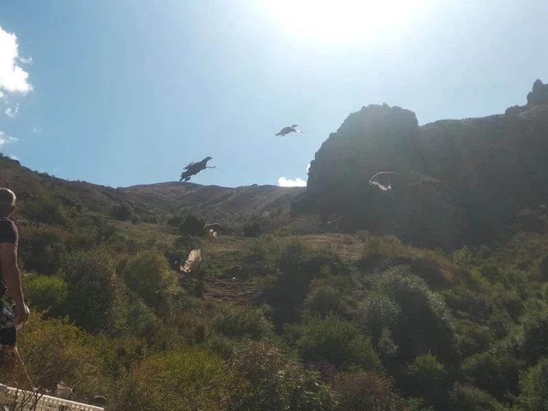 DKMP Genel Müdürlüğü’nce Kars’a 400 kınalı keklik gönderildi
