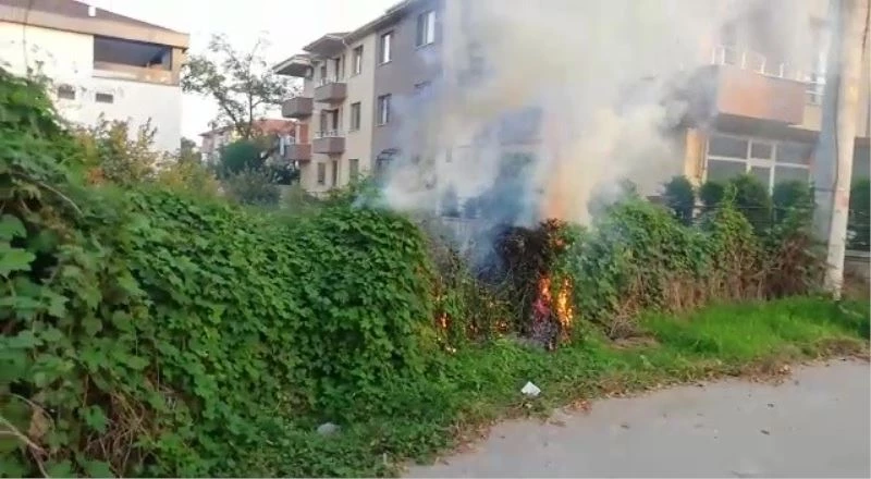 Düğün konvoyundan atılan meşale yangın çıkarttı
