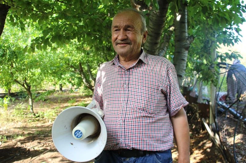 Bahçesinden domuzları uzaklaştırmak için 24 saat oyun havası çalıyor