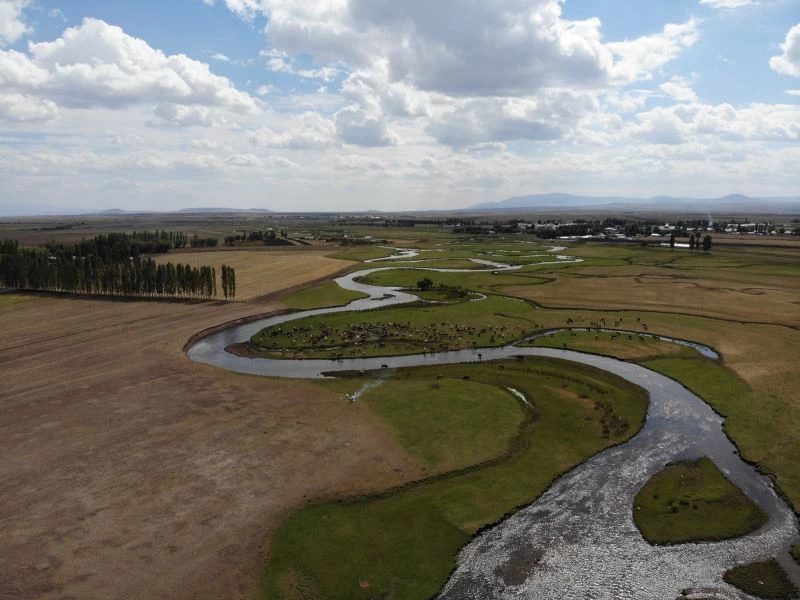Arpaçay mendereslerinde sonbahar güzelliği
