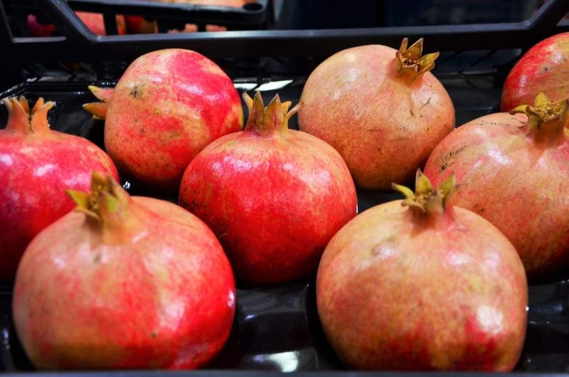 Denizli’de turfanda nar hasadı başladı
